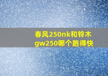 春风250nk和铃木gw250哪个跑得快