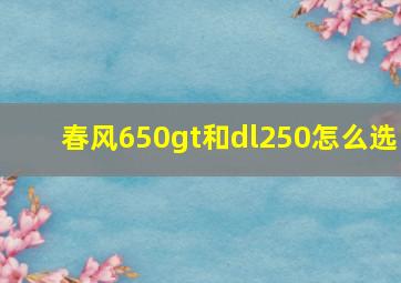 春风650gt和dl250怎么选