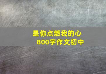 是你点燃我的心800字作文初中