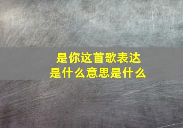 是你这首歌表达是什么意思是什么