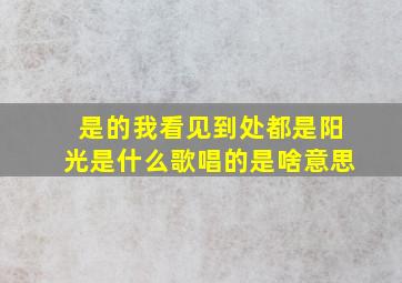 是的我看见到处都是阳光是什么歌唱的是啥意思