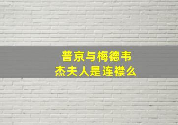 普京与梅德韦杰夫人是连襟么