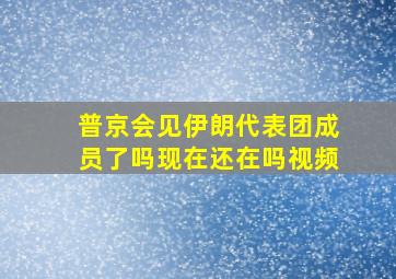 普京会见伊朗代表团成员了吗现在还在吗视频