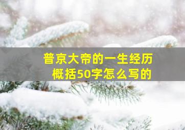 普京大帝的一生经历概括50字怎么写的