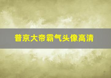 普京大帝霸气头像高清