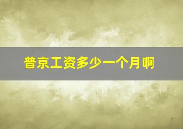 普京工资多少一个月啊