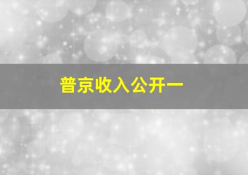 普京收入公开一