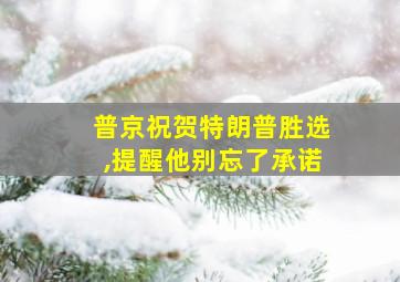 普京祝贺特朗普胜选,提醒他别忘了承诺