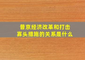 普京经济改革和打击寡头措施的关系是什么