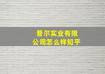 普尔实业有限公司怎么样知乎