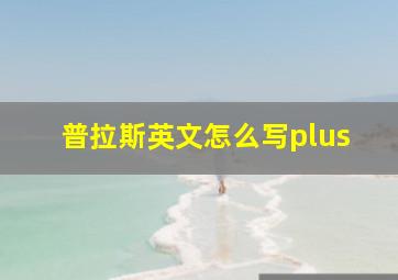 普拉斯英文怎么写plus