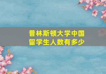 普林斯顿大学中国留学生人数有多少