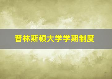 普林斯顿大学学期制度