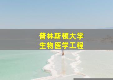 普林斯顿大学生物医学工程