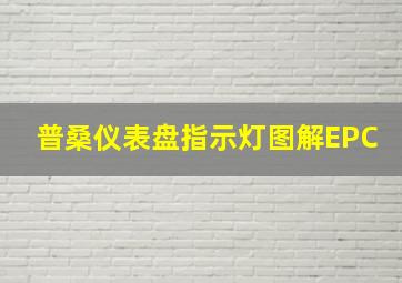 普桑仪表盘指示灯图解EPC