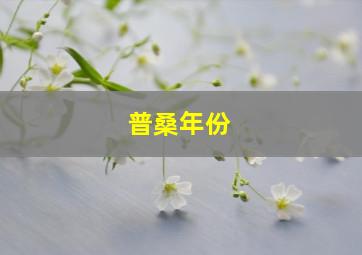 普桑年份