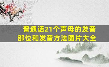 普通话21个声母的发音部位和发音方法图片大全