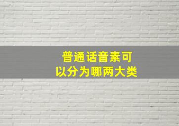 普通话音素可以分为哪两大类