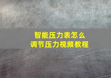 智能压力表怎么调节压力视频教程