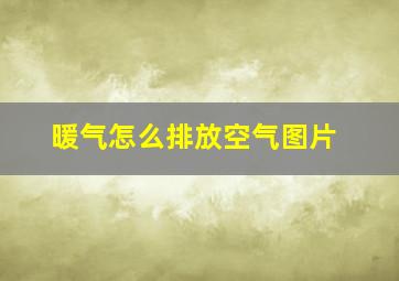 暖气怎么排放空气图片