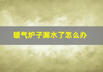 暖气炉子漏水了怎么办