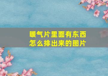 暖气片里面有东西怎么排出来的图片