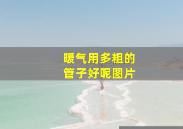 暖气用多粗的管子好呢图片