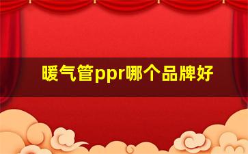 暖气管ppr哪个品牌好