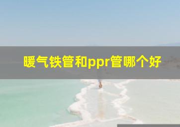 暖气铁管和ppr管哪个好