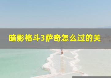 暗影格斗3萨奇怎么过的关