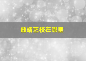 曲靖艺校在哪里