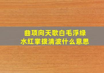 曲项向天歌白毛浮绿水红掌拨清波什么意思