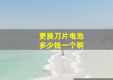 更换刀片电池多少钱一个啊