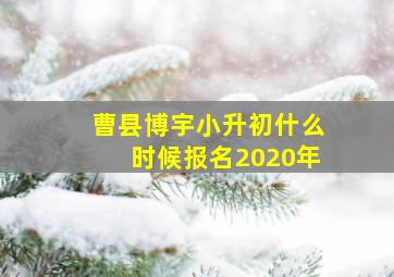 曹县博宇小升初什么时候报名2020年