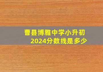 曹县博雅中学小升初2024分数线是多少