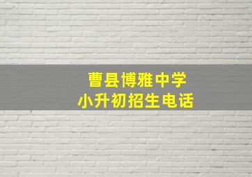 曹县博雅中学小升初招生电话