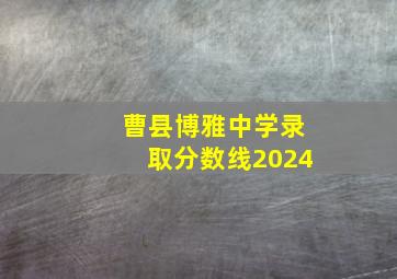 曹县博雅中学录取分数线2024