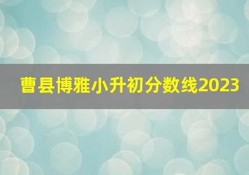 曹县博雅小升初分数线2023