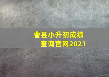 曹县小升初成绩查询官网2021