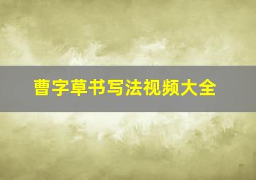 曹字草书写法视频大全