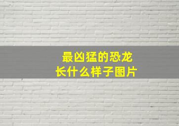 最凶猛的恐龙长什么样子图片