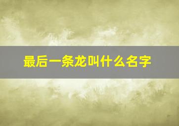 最后一条龙叫什么名字