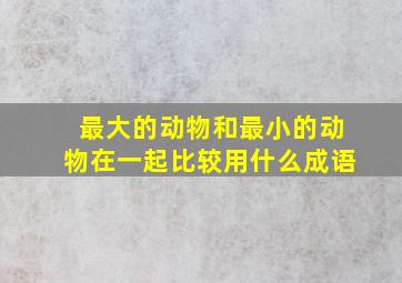 最大的动物和最小的动物在一起比较用什么成语