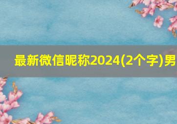 最新微信昵称2024(2个字)男