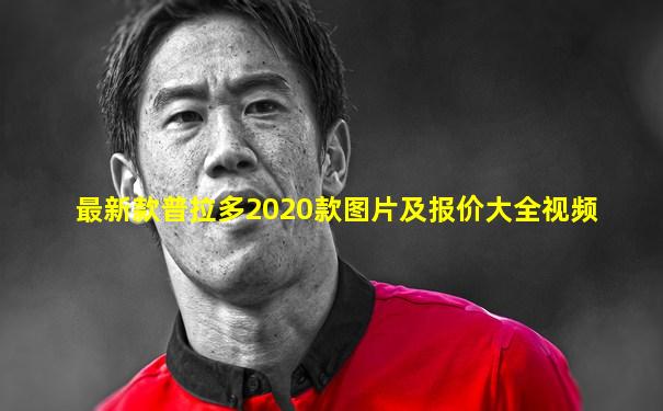 最新款普拉多2020款图片及报价大全视频