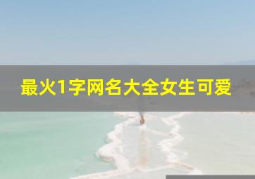 最火1字网名大全女生可爱