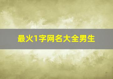 最火1字网名大全男生