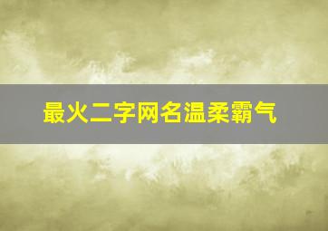 最火二字网名温柔霸气