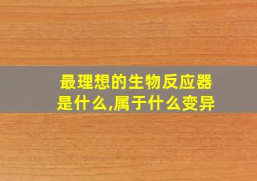 最理想的生物反应器是什么,属于什么变异