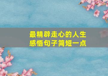 最精辟走心的人生感悟句子简短一点